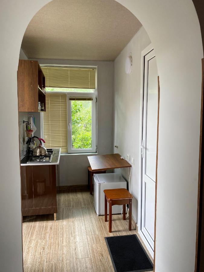 Dato Khetaguri Apartment 卡兹贝吉 外观 照片